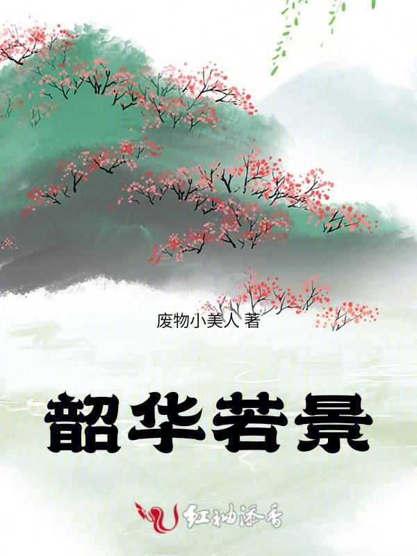 韶华若锦演员表