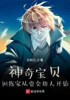神奇宝贝 训练家从赏金猎人