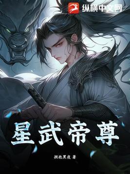 星武帝尊 拥抱黑夜