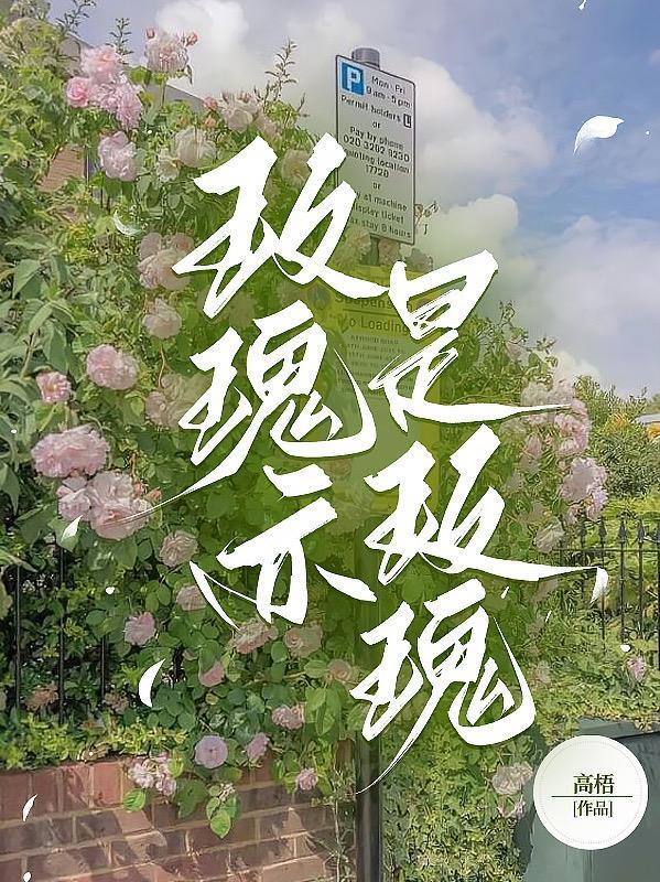 玫瑰是情也是花不仅送你也送她