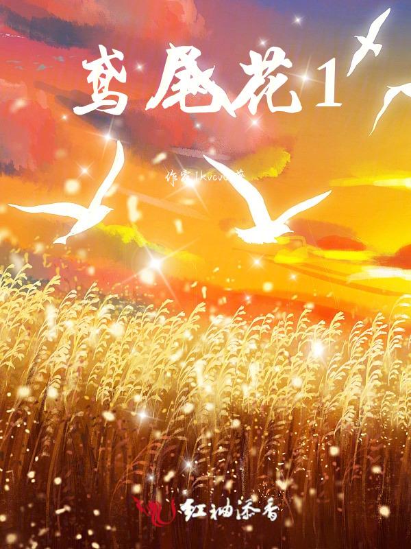 鸢尾花的花语是什么