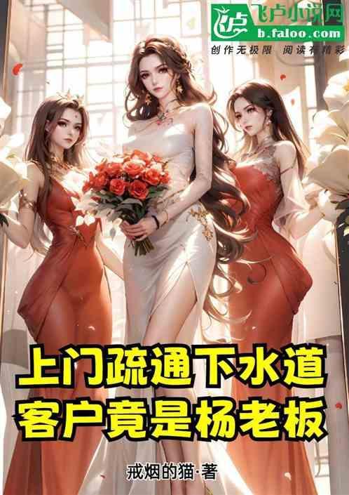 上门疏通下水道服务