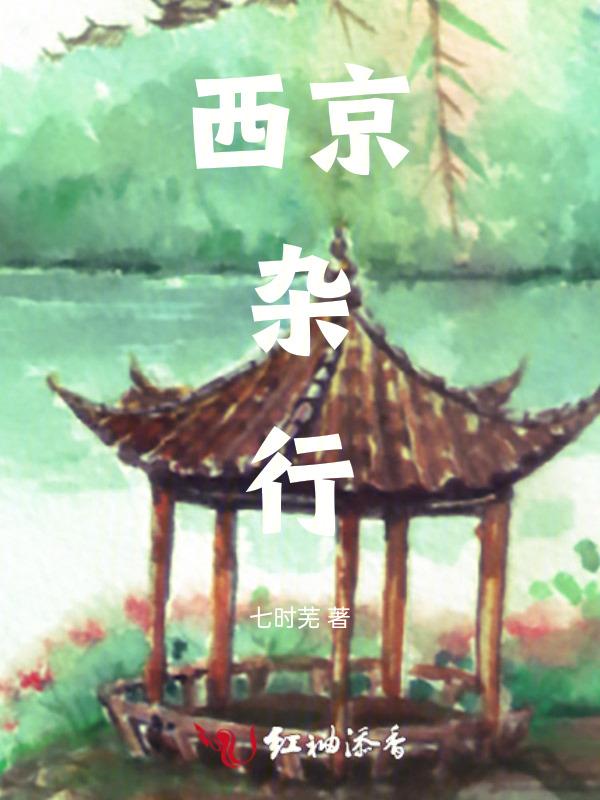 西京杂记形容什么