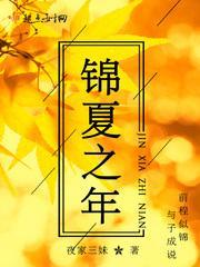 盛夏锦年什么意思