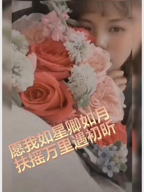 愿我如星君如月狸子
