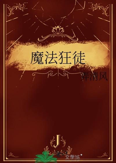 魔法狂徒20章