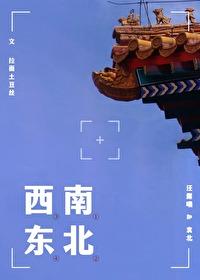 平生事南北西东