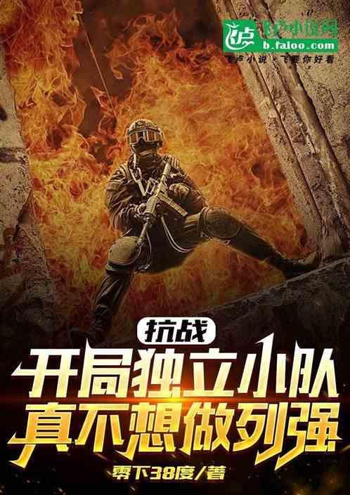 抗战之独立师