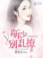 靳少宠妻宠上天