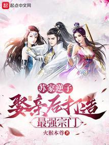 苏家紫七的