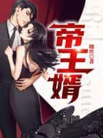 帝王婿在线阅读