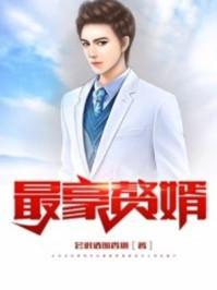 最豪赘婿什么时候开写的
