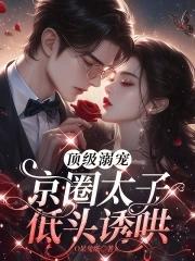 京圈男主太子爷高干文