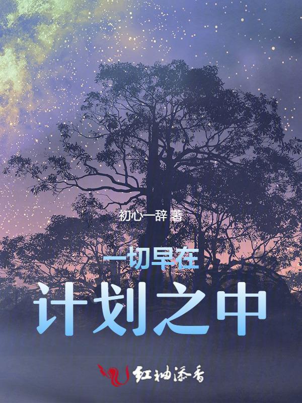 一切都是计划好的