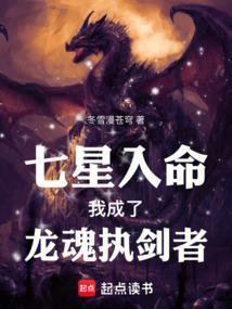 主角是七星龙渊的