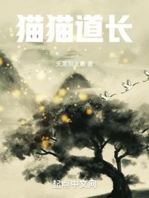 猫猫道长是谁