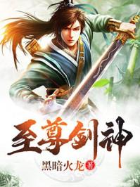 绝世剑神林辰免费阅读全文无弹窗