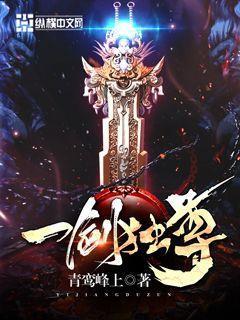 一剑独尊完整版目录