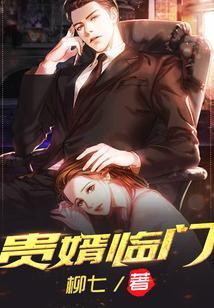 贵婿临门贴吧