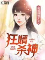 狂婿杀神全文阅读