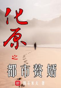 都市赘婿流
