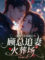 替身第几章追妻火葬场