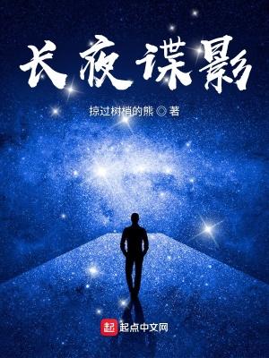 长夜谍影TXT八零电子书
