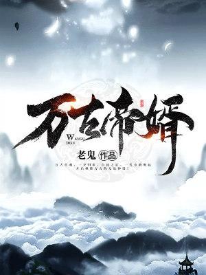万古帝婿TXT完整版