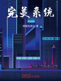 完美系统