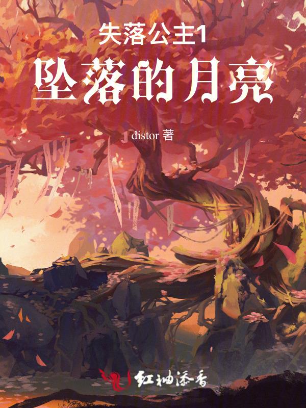 失落公主1坠落的月亮